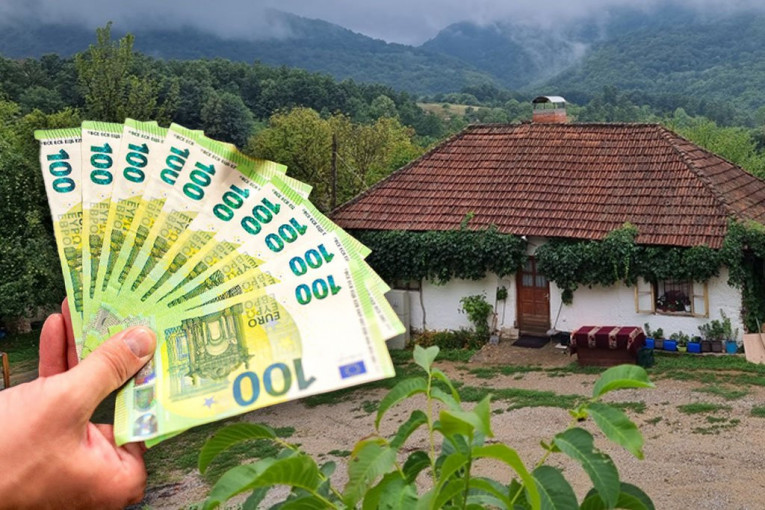 220 sqm house with land for only 27,000 euros! Incredible ad in Bor 'ignited' the networks