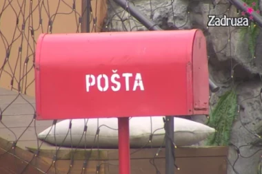 ŠOK I NEVERICA U ZADRUZI: Takmičari čekali bitnu odluku, Veliki šef ih ŠOKIRAO! Zaboravili su bitan datum! (VIDEO)