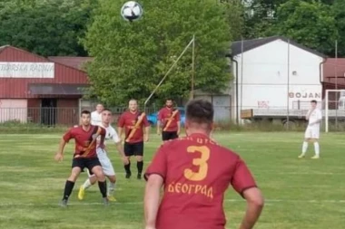LAVOVI SE IZGUBILI U NOVOBEOGRADSKOJ DŽUNGLI: BUSK slavio nakon drame u Bloku 45! (FOTO GALERIJA, VIDEO)