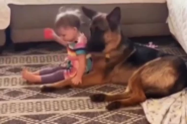 OSTAVILA JE NA TREN BEBU SA VUČJAKOM: Kada se vratila posle manje od minut SKAMENILA SE! (VIDEO)