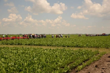 Sunoko organizovao „Dan polja šećerne repe”: Šećerna repa obećava odličnu zaradu poljoprivrednicima
