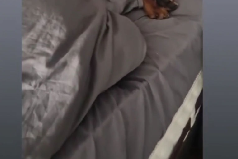 Osman Karić instagram