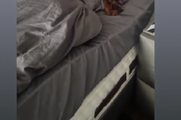 Osman Karić instagram