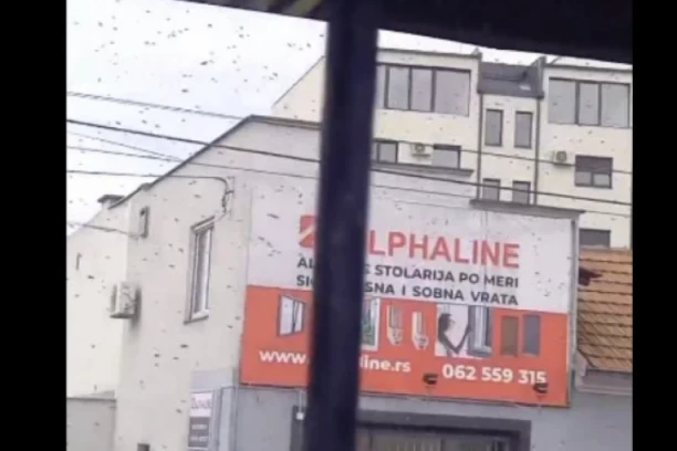 SCENA U CENTRU BEOGRADA KAO IZ FILMOVA STRAVE I UŽASA! Ogroman roj pčela se spustio među ljude, evo ŠTA može biti razlog! (VIDEO)