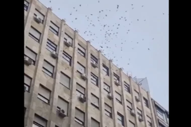 KIŠA NOVCA PLJUŠTALA U KNEZ MIHAILOVOJ: Šokirani Beograđani uspaničeno skupljali PARE! (VIDEO)