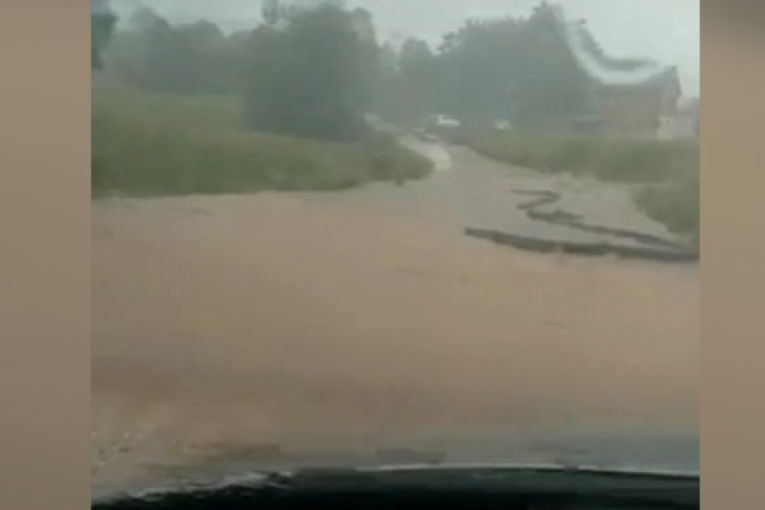 IZ POPLAVA PRETE DŽINOVSKE ZMIJE: Jezivi snimci iz poplavljenih područja u Srbiji - reptili dolaze iz Azije?