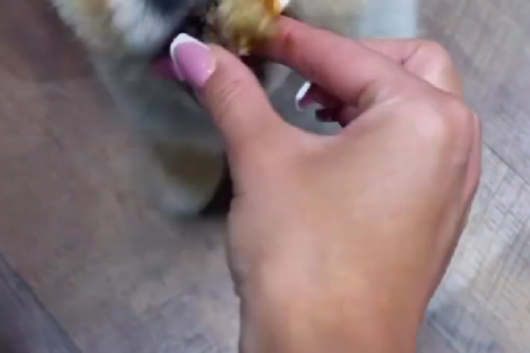 Maja Marinković instagram