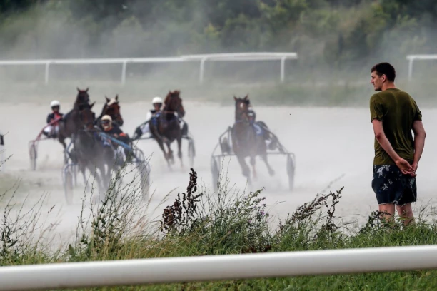 SVI PUTEVI VODE U SOMBOR! Konji Nikole Jokića JURE ka trofeju, Srbija dobila FENOMENALNE vesti uoči spektakla!