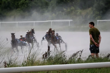 DA LI JE OVO MOGUĆE? Otkriveno koliko Nikola Jokić ZARAĐUJE od svojih konja! Cifra će vas ZAPREPASTITI!