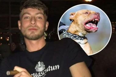 NAREDIO KRVOLOČNOM PSU DA NAPADNE KOMŠIJU! Drogirani vlasnik dobio 8 godina zatvora - zver i dalje na slobodi!