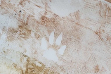 OPŠTA PANIKA! Meštani srpskog sela ugledali džinovske stope: Od straha ne izlaze iz kuća!