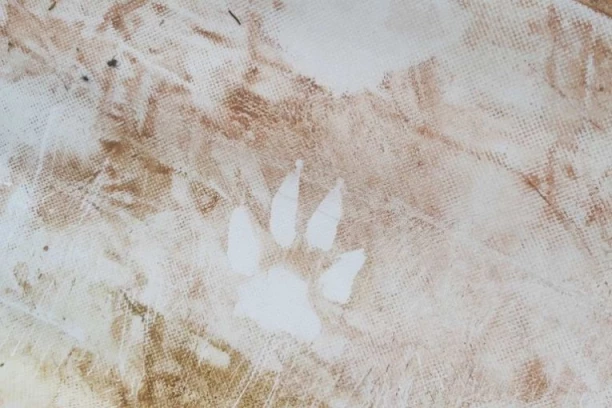 OPŠTA PANIKA! Meštani srpskog sela ugledali džinovske stope: Od straha ne izlaze iz kuća!