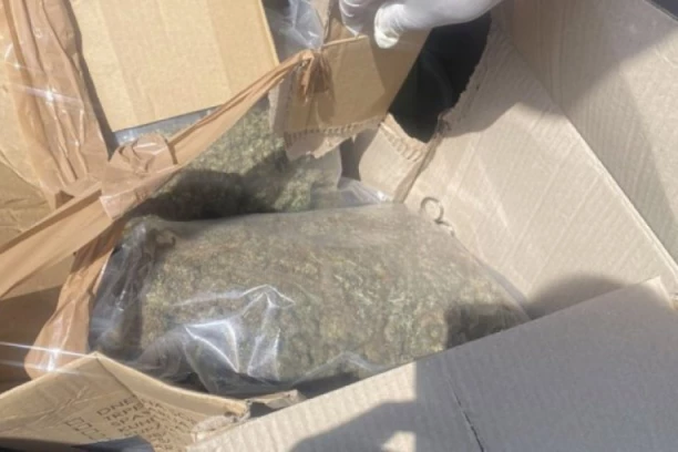U GEPEKU "PEŽOA" VOZIO 48 KILOGRAMA MARIHUANE: Pred tužiocem diler se branio ćutanjem!