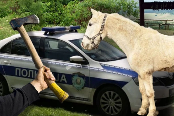 LESKOVAČKI DIVLJI ZAPAD: Udario čoveka sekirom u glavu, pa odjahao na KONJU sa mesta zločina - razlog napada BIZARAN!