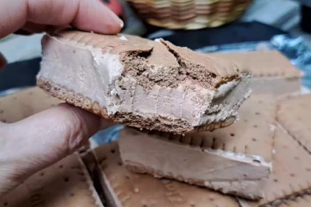 BRZE SLADOLED KOCKE: Savršena kombinacija krema i keksa, odlične za tople dane