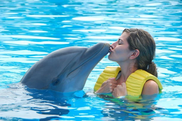 ISPOVEST ŽENE KOJA JE SPAVALA SA DELFINOM: Kada se uzbudi, radila je OVO - čim su ga sklonili od nje, izvršio je SAMOUBISTVO