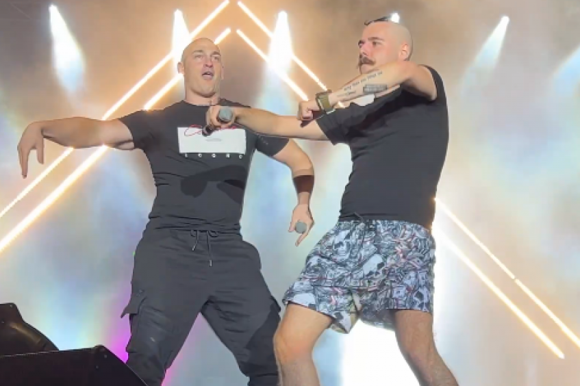 Desingerica x Pljugica