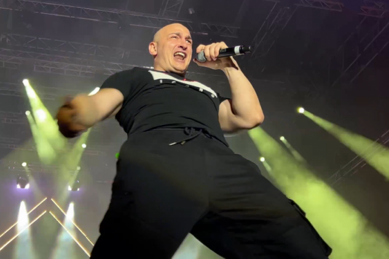 Desingerica x Pljugica