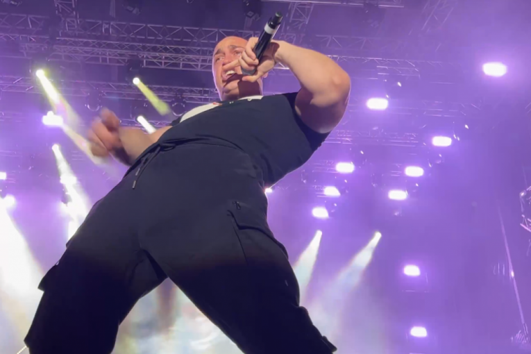 Desingerica x Pljugica