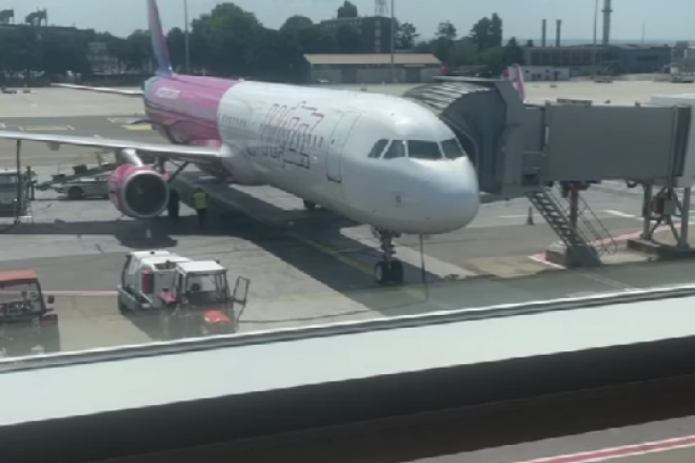 Neca Lazić Instagram