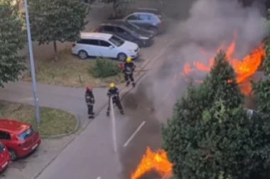 HAOS U NOVOM SADU! GORI AUTOMOBIL NA DETELINARI: Vatrogasci se bore sa stihijom (VIDEO)