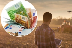 Ovo je jedna od najboljih investicija - evo koliko košta hektar njiva po Srbiji