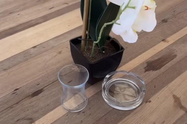 Stefan Karić Instagram