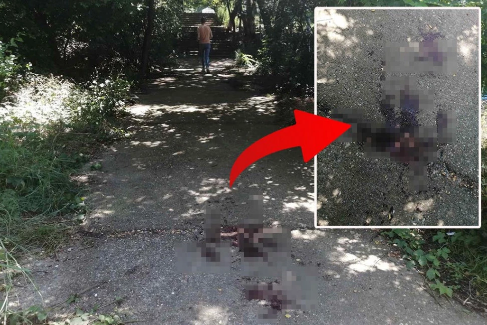 JEZIV PRIZOR NA MESTU OBRAČUNA NA ČUKARICI: Maloletnik nožem do smrti izbo Marka - tragovi krvi vidljivi i danas, scena kao iz HORORA (VIDEO)