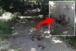 JEZIV PRIZOR NA MESTU OBRAČUNA NA ČUKARICI: Maloletnik nožem do smrti izbo Marka - tragovi krvi vidljivi i danas, scena kao iz HORORA (VIDEO)