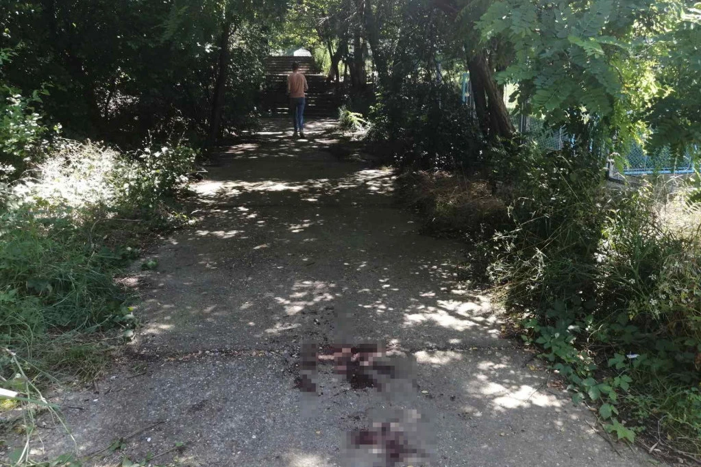 NANEO IM JE TAKVE POVREDE DA NISU MOGLI DA SE POMERE: Ubica je mladiće zaskočio sa leđa u prolazu između škole i vrtića na Čukarici - komšije u ŠOKU!