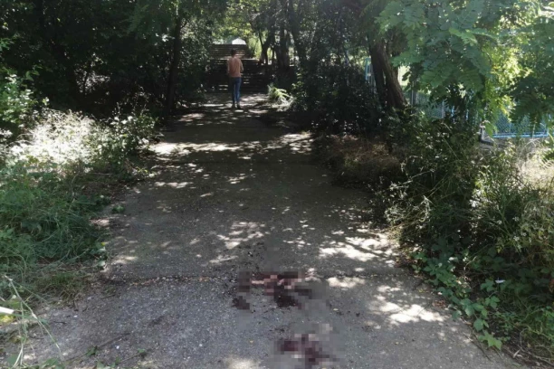 NANEO IM JE TAKVE POVREDE DA NISU MOGLI DA SE POMERE: Ubica je mladiće zaskočio sa leđa u prolazu između škole i vrtića na Čukarici - komšije u ŠOKU!