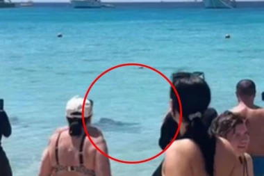 SRBIN SNIMIO DRAMU U HURGADI! Morska neman prestravila kupače, ljudi beže što dalje od vode, majke drže decu (VIDEO)