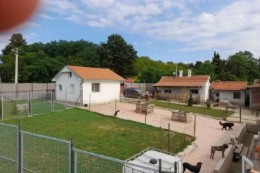 DRUGA STRANA PRIČE: Pas u čuvaonici Jasenak preminuo od srčanog udara!