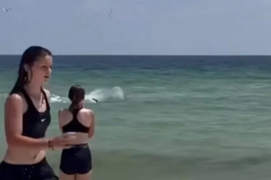 HOROR U ŠPANIJI! AJKULA NAPALA ČOVEKA U PLIĆAKU: Nije bilo vremena za strah, more je odmah postalo CRVENO