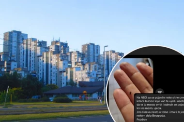 MISTERIOZNE BUBE NAPADAJU BEOGRAD! Crne su, lete i kad vas UJEDU odmah krene da curi KRV! (FOTO)