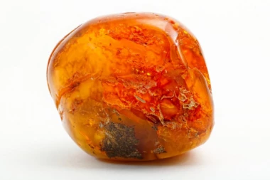 U UTROBI UGINULOG KITA PRONAŠAO ĆILIBAR VREDAN POLA MILIONA EVRA! Ovaj sisar često strada zbog "plutajućeg zlata"!