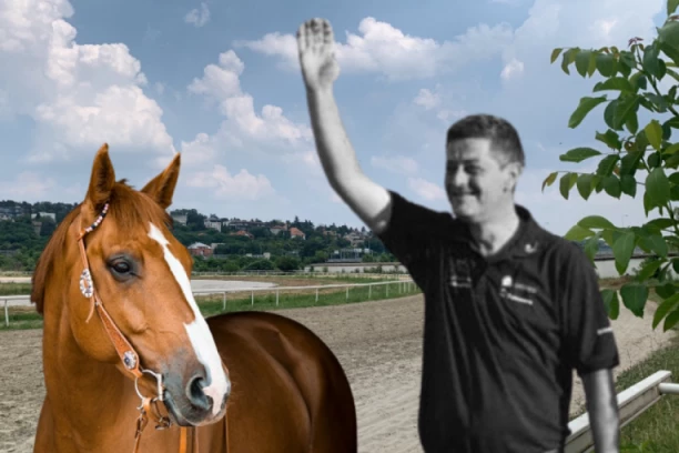 NJEGOV SIN JE PREUZEO KONJA: Vlasnica škole jahanja uživo sa HIPODROMA, otkrila nove detalje o tragičnoj smrti brata Nikole Koja!