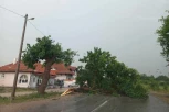 JAK GRAD POKOSIO TOPOLU: Drvo se odvalilo i preseklo put, voćnjaci opustošeni! (FOTO)
