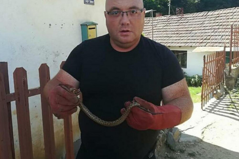 Vladica sa zmijom koju je našao