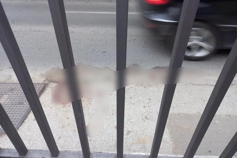 Mesto gde je Zoran pretučen