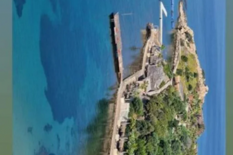 Dragana Mirković Instagram