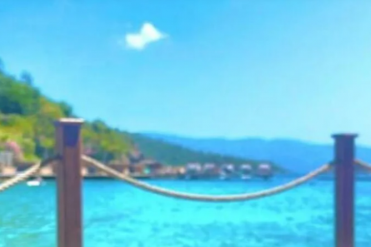 Dragana Mirković Instagram