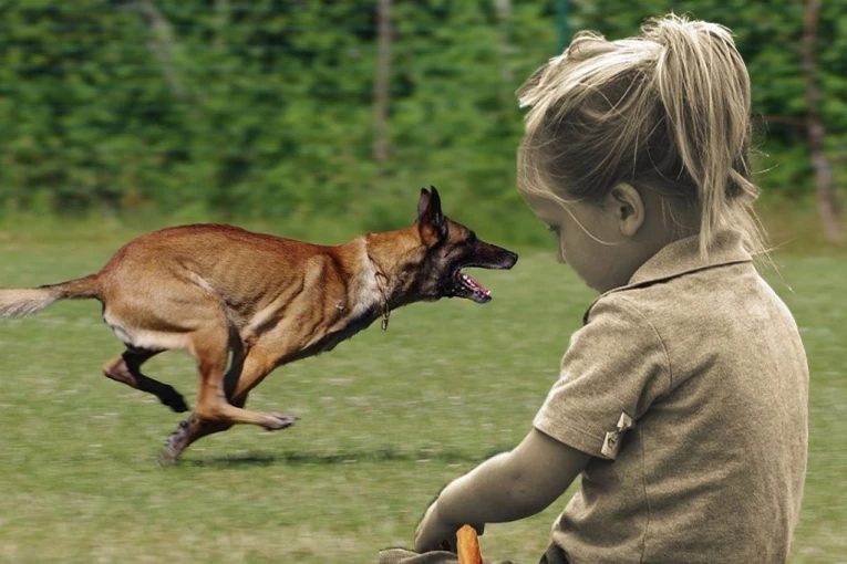 EVO ŠTA JE DEVOJČICA URADILA PRE JEZIVOG NAPADA MALINOE - OTKRIVENO ZAŠTO JE IZUJEDANA: Pas i pre bio problematičan?