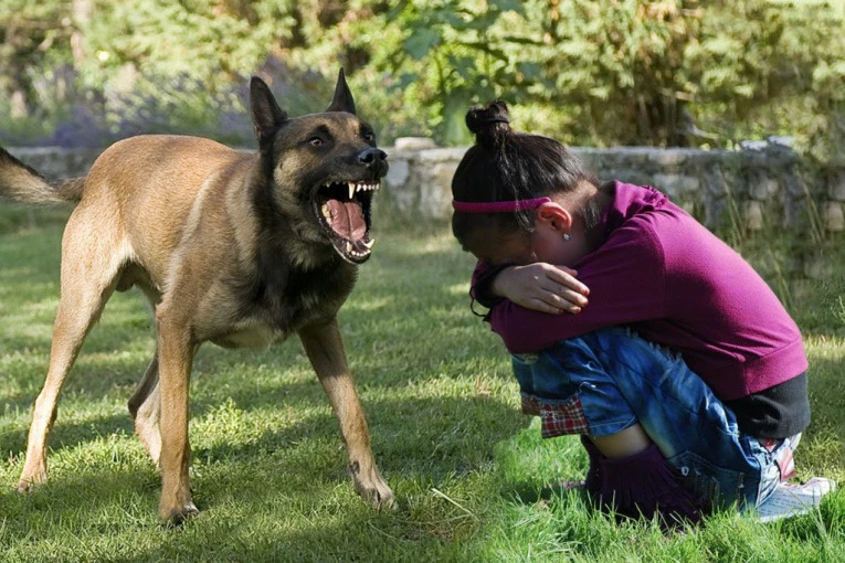 NEPOKRETNI DEDA DEVOJČICE GLEDAO DOK JOJ JE PAS IZ PAKLA KIDAO CREVA! Baba je sve vreme ZAPOMAGALA: Videle su se kosti deteta, krvi je bilo svuda po dvorištu!