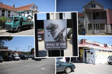 DOŠLA SA MAJKOM DA OBIĐE BAKU I DEKU, PA JE IZUJEDAO UJAKOV PAS: Devojčica (4) iz Sremčice teško povređena, a samo je želela JEDNU STVAR (FOTO)