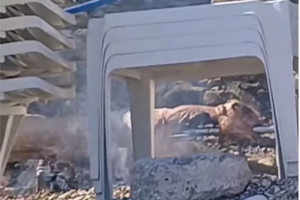 SNIMAK SA JAZA KOD BUDVE IZVAO CUNAMI NA MREŽAMA: Jedni ih brane, drugi su besni: "Napraviše od plaža vašar u Maloj Moštanici"