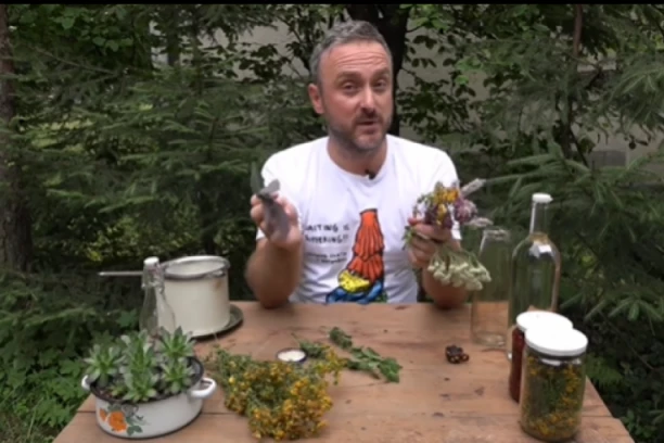 TRAVAR MOMČILO TVRDI DA OVA BILJKA OBARA VISOK KRVNI PRITISAK: Odlična i za HOLESTEROL, ali mora da se RAZUMNO uzima!