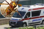 ZVANIČNO SVE ISPITANO! Evo da li je bilo propusta u lečenju žene koju je ujeo stršljen - lekari otrkili kako je došlo do smrti