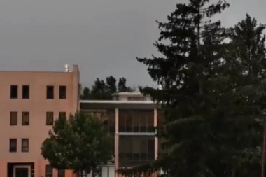 APOKALIPTIČNE SCENE U SLOVENIJI! Vetar iščupao drveće iz korena: Građani, spremite se - SABLASNA oluja kreće ka Srbiji! (FOTO, VIDEO)