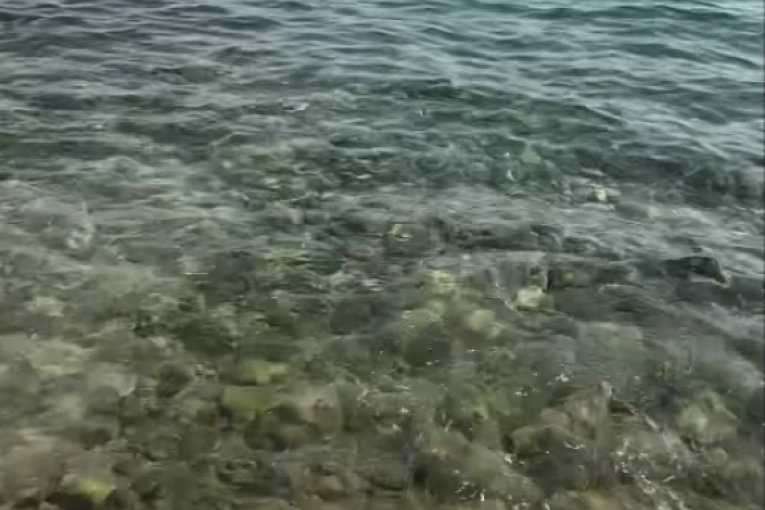 Filip Car Crikvenica